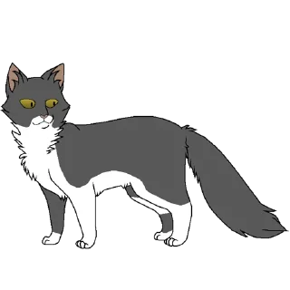 Sticker Коты воители от @KarmelniuVecherok - 7