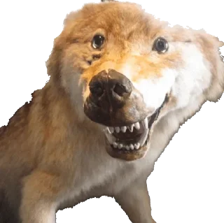 Sticker Эксклюзивчик - 0