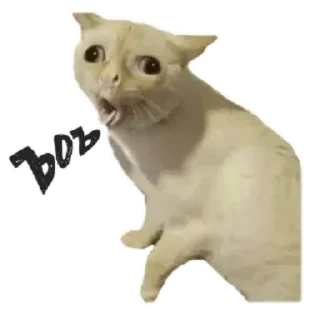 Sticker Эксклюзивчик - 10