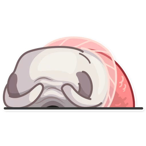 helmet personal protective equipment