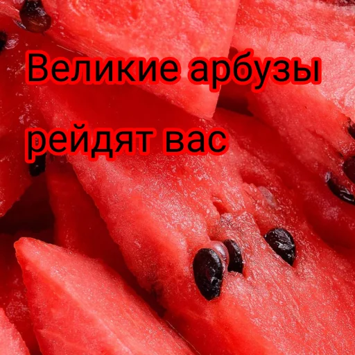 Sticker WatermelonArbuz - 1