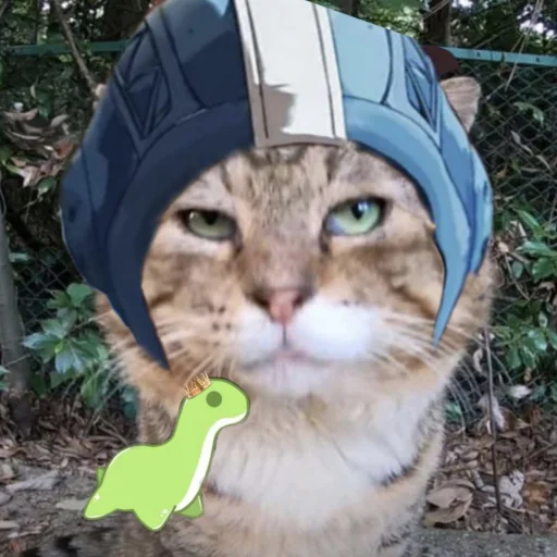 mammal felidae outdoor