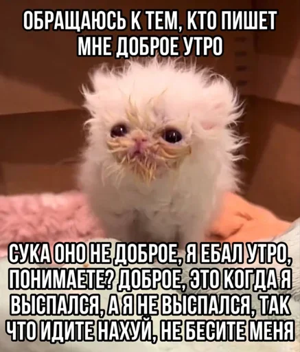 Sticker WavqPCe_by_stickers_stealer_bot - 1