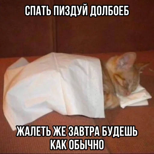 Sticker WavqPCe_by_stickers_stealer_bot - 1