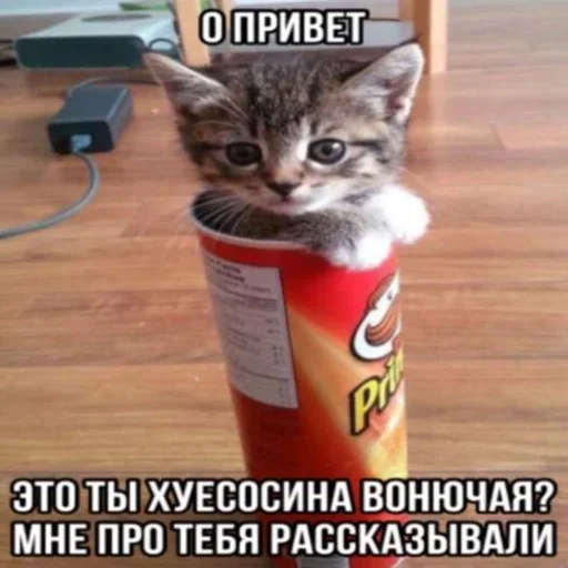 Sticker WavqPCe_by_stickers_stealer_bot - 1