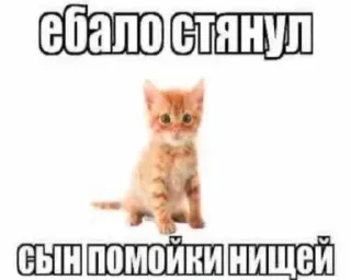 Стикер Больше стикеров 👉🏻 @stickertg4 - 5