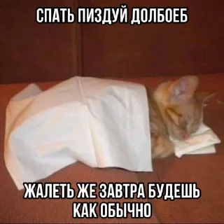 Стикер Больше стикеров 👉🏻 @stickertg4 - 6