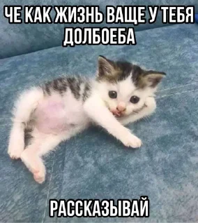 Стикер Больше стикеров 👉🏻 @stickertg4 - 9