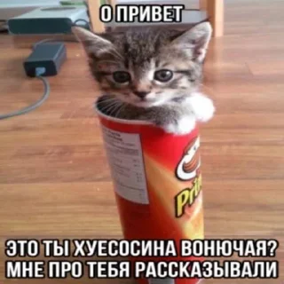 Стикер Больше стикеров 👉🏻 @stickertg4 - 3