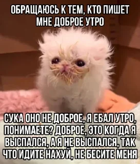 Стикер Больше стикеров 👉🏻 @stickertg4 - 8