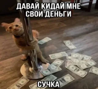 Стикер Больше стикеров 👉🏻 @stickertg4 - 2