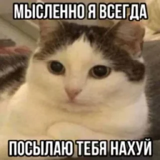 Стикер Больше стикеров 👉🏻 @stickertg4 - 10