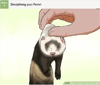 Sticker WeaselTrash - 2