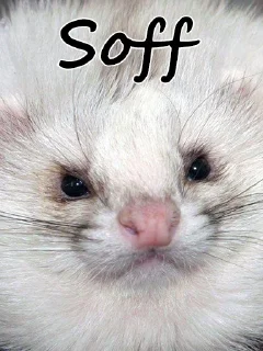 Sticker Weasel Trash 2 - 6