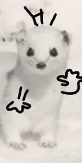 Sticker WeaselTrash - 5