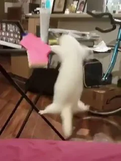 Sticker Weasel Trash 2 - 9