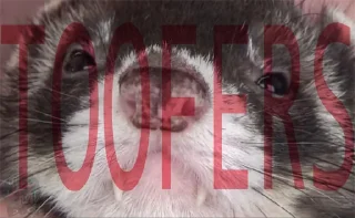 Sticker WeaselTrash - 0