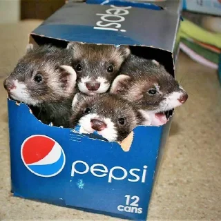 Sticker WeaselTrash - 10