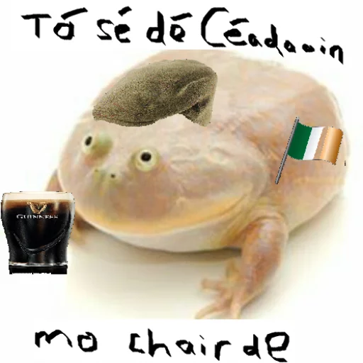 Стикер WednesdayFrog - 1