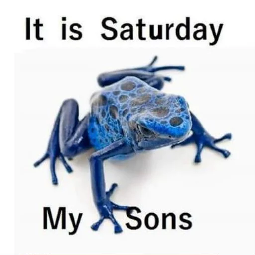 Sticker WednesdayFrog - 1