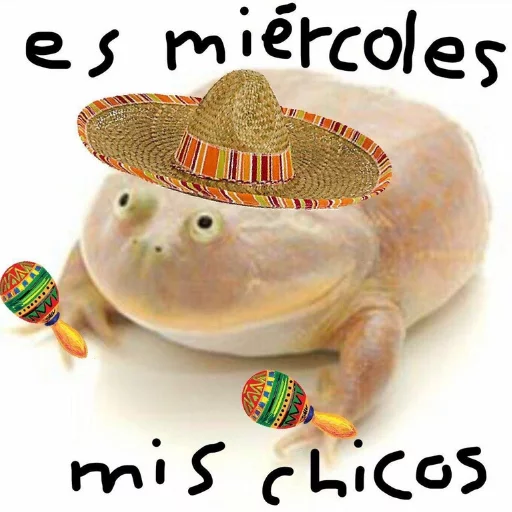 Sticker WednesdayFrog - 1