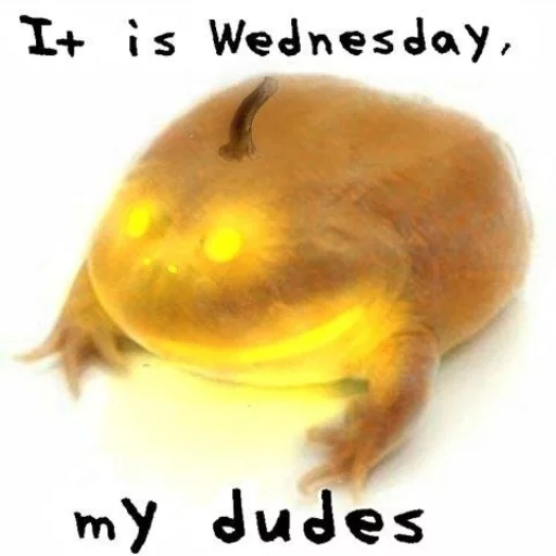 Sticker WednesdayFrog - 1