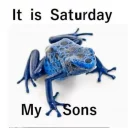 Стикер Wednesday My Dudes - 5