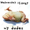 Стикер Wednesday My Dudes - 6