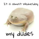 Стикер Wednesday My Dudes - 1