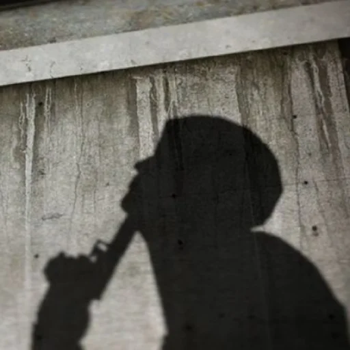 Мяу. @DJStrider - 