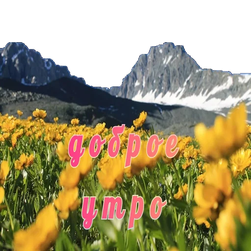 Sticker Wellness_sveta - 1