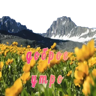 Sticker Wellness_veta - 10