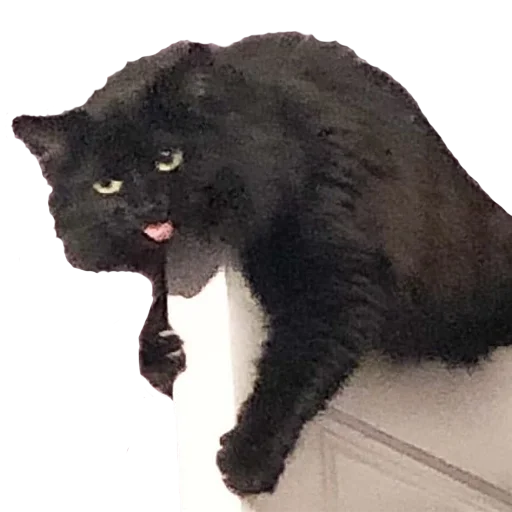 Вакханалия - 