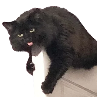 Стикер Вакханалия - 3