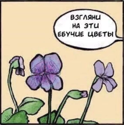 СМС цветок эскиз