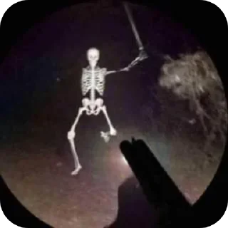 Стикер What... @TgEmodziBot - 9