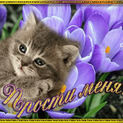 Sticker WhatsApp JPG (@pt_stickers) - 8