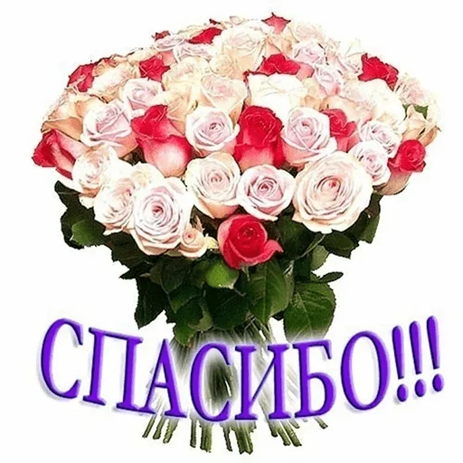 Sticker WhatsApp JPG (@pt_stickers) - 4