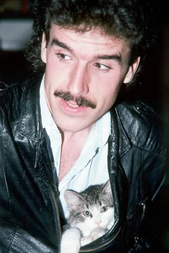 Человек человеческое лицо кошка