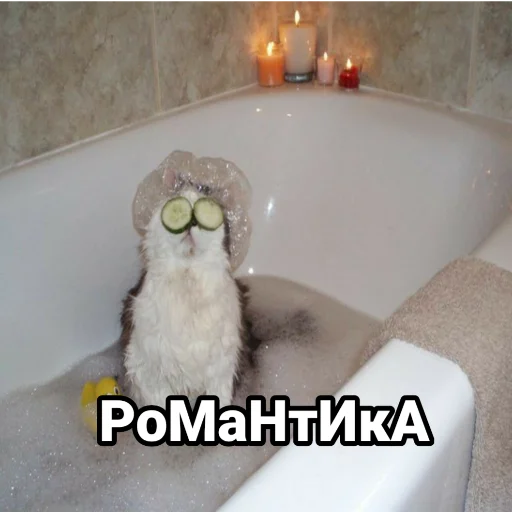 ванна ванная комнатный