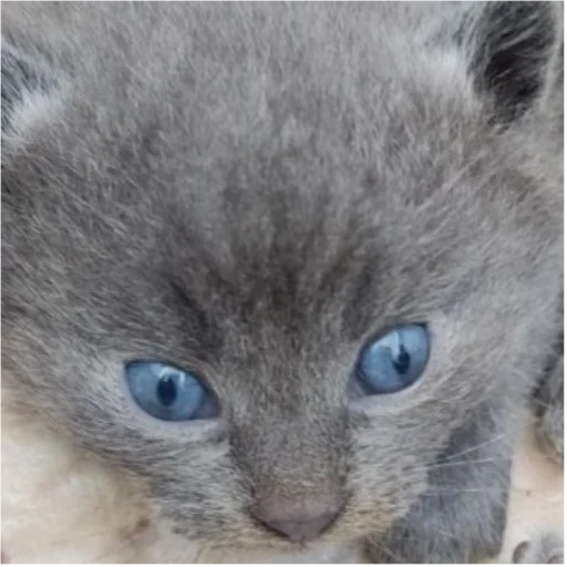 Стикер Whitegrey2 - 1