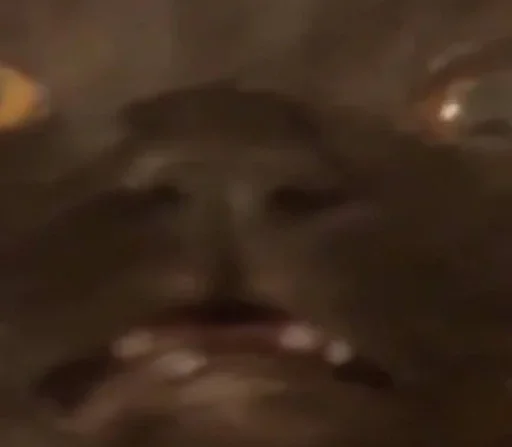 Favourite стикері by @fStikBot - животное