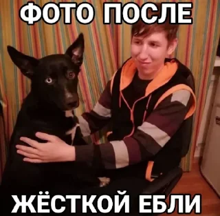 Стикер Фокс - 8