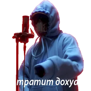 Sticker WhyBaby? - 5