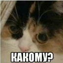 Sticker Зачем? - 2