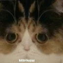 Sticker Зачем? - 10