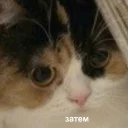 Sticker Зачем? - 9