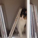 Sticker Зачем? - 11