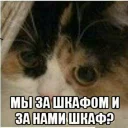 Sticker Зачем? - 8