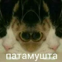 Sticker Зачем? - 1